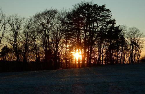 Haus Kellenburg - Foto 8