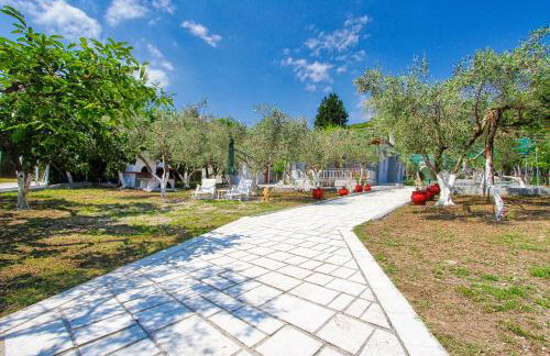 The House of Olive Trees - Photo 2