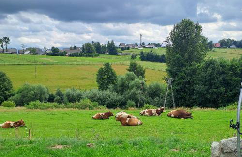 Orawskie wzgórze - Foto 39