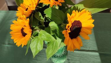 Le 1881 Ampuis - Foto 5