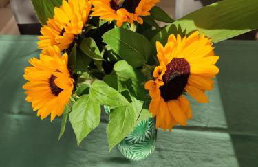 Le 1881 Ampuis - Foto 5