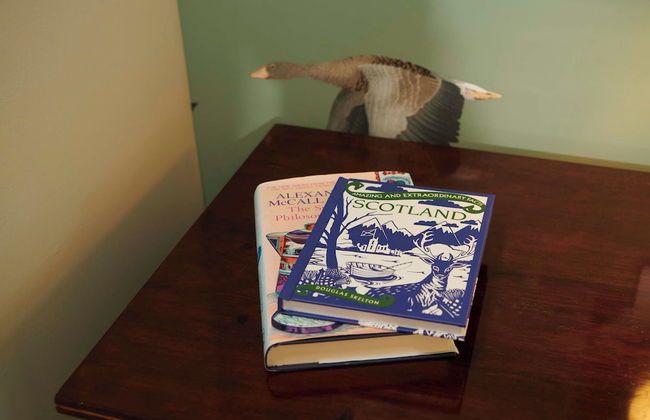 Downright Gabbler - Foto 3