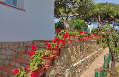 VILLA VALENTINA - Photo 32