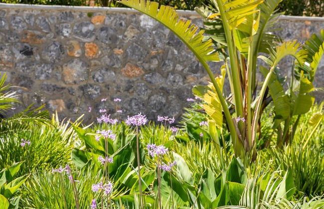 Istia Luxury Villas - Foto 79