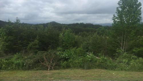 Eula Mae | Ocoee River Area - Foto 4