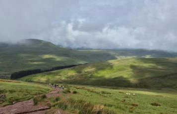 Little Plas - Foto 3