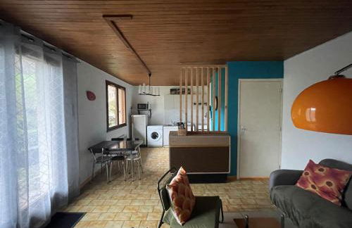 Vénosc-Les 2 Alpes , Rez de jardin - Photo 16