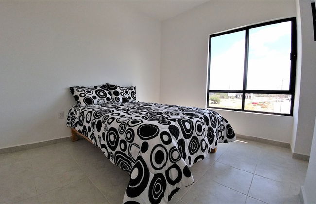 Casa Barbelo - Foto 5