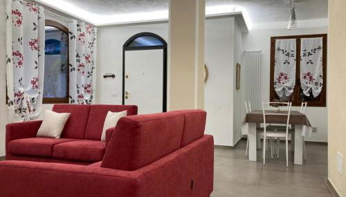 La Tillanzia - Foto 3