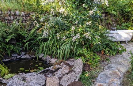 The Applehay - Foto 12