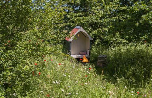 Wellbeing Orchard - Foto 38