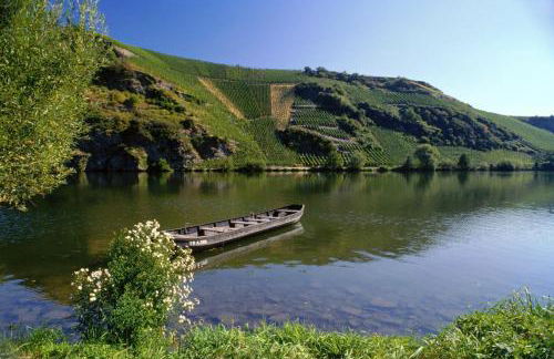 Weingut Mathy-Schanz - Foto 34