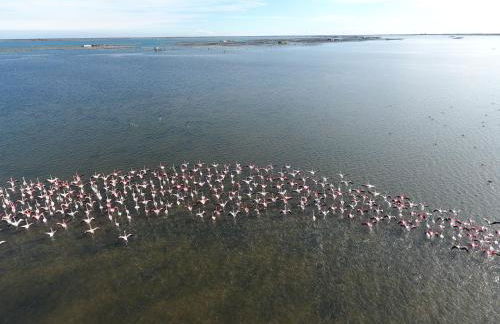 L'Hortet del iaio - Foto 57