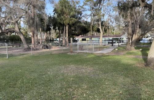 The Salty Lime - Foto 25