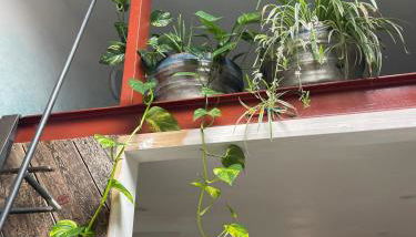 The Kite Shack - Foto 4