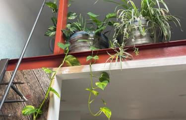 The Kite Shack - Foto 4