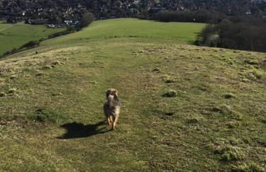 Cosy Flint Cottage - Foto 21