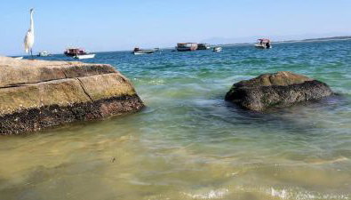 Apto pé na Areia - Foto 2