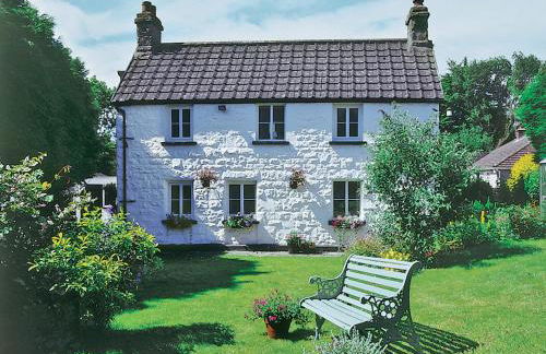 Foxes Reach - Hw7421 - Foto 1