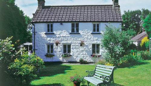 Foxes Reach - Hw7421 - Foto 1