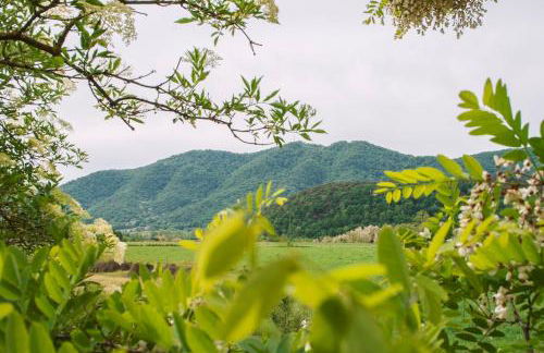 Mas Puigdevall - Foto 15