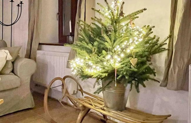 Lucany nad Nisou - Lla560 - Photo 33