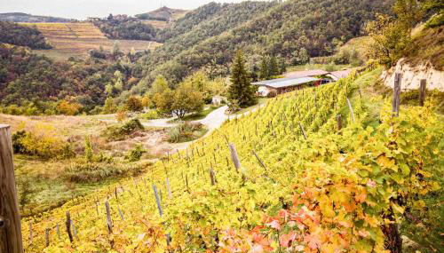 Borgo Isolabella - Wine & Vermouth Relais - Foto 2