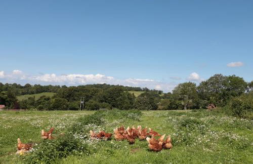 The Cider Shed - Foto 20