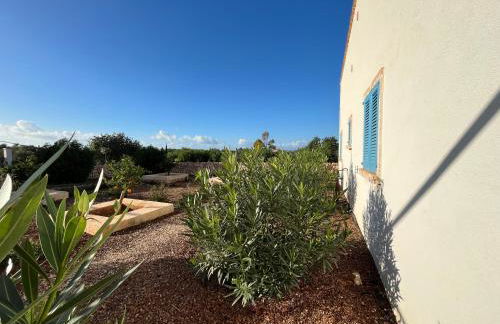 Blue Door Mallorca - Foto 46