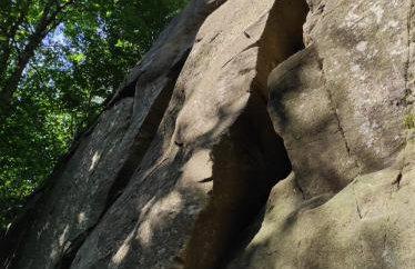 Pieśń Poranka Domek - Foto 34