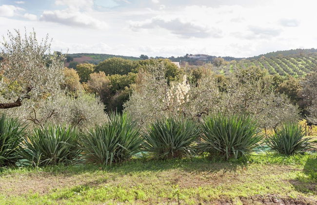 Apartment in Umbria Near Montefalco Winery - Foto 18