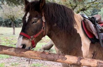 The Lake house Feneos - Foto 53