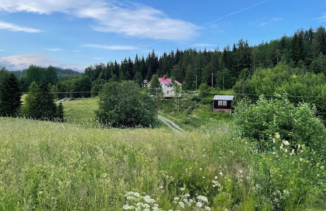 Charming 19th Century Timber Frame House in High Coast Area - Foto 20