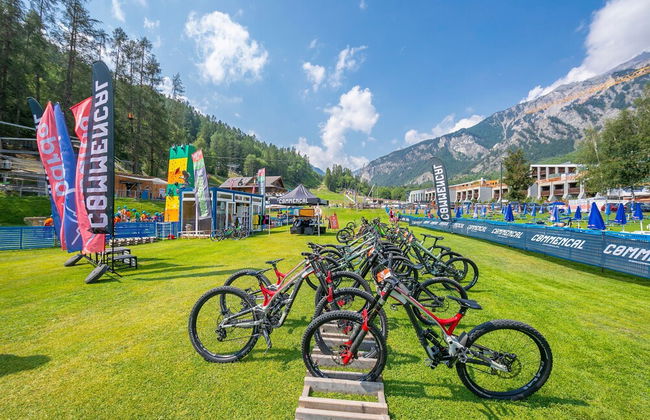 Il Nido Nella Pineta - Foto 28