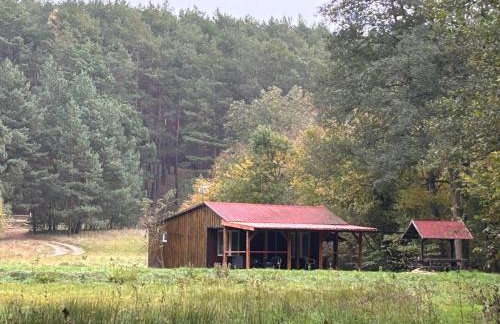 Siedlisko Silna Nowa - Foto 18