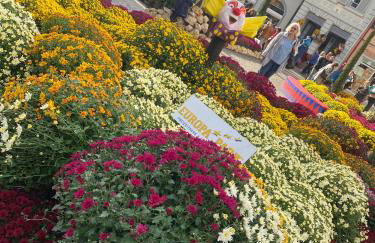 Ferienwohnung Schwarzwaldnest - Foto 38