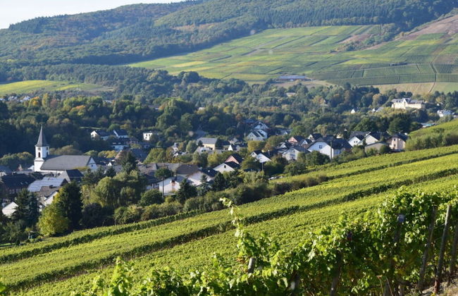 Holiday Apartment Goose in the Monument - Photo 19