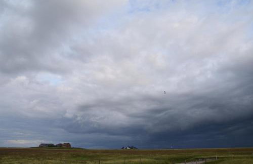 Fewo Nordseeblick - Foto 20