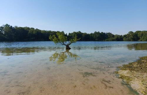 Ferienhaus Hilgenhuus - Foto 17
