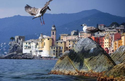 IL VELIERO - Foto 11