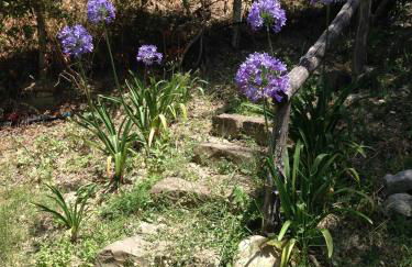 Giardino di Sicilia - Foto 124