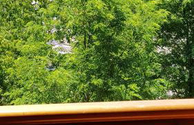 Gite Le Moulin de Rosieres Moulin Champetier - Foto 12