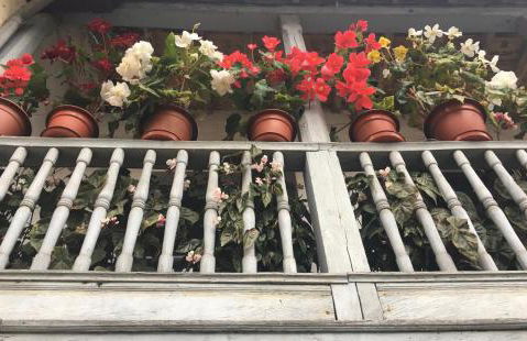 La casita de Olivia Espinaredo - Foto 53