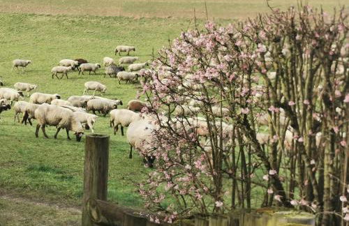 Ferienwohnung Auenland - Photo 15
