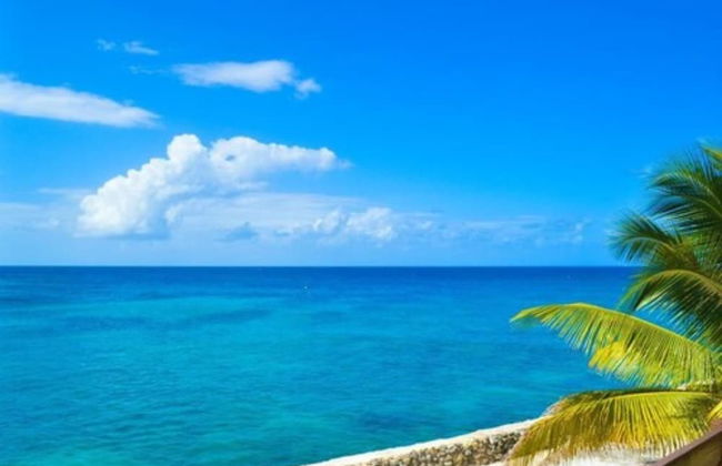 Le Mer Guest House & Villa - Lucea - Photo 29