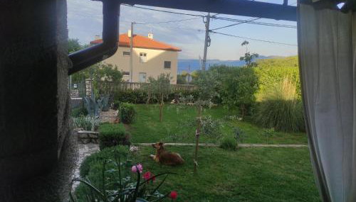 Zoran Vukusic Apartment - Foto 3, Garden