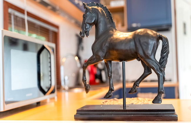 Holiday Home in Garderen by Veluwe - Photo 23