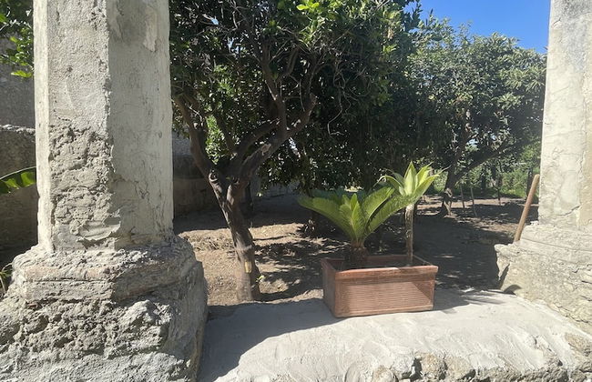 Tenuta La Torre - Foto 27