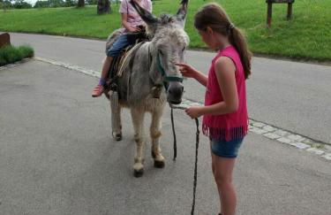 Andreashof - Foto 17