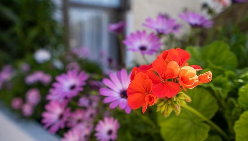Aptos Barbarroja - Formentera Break - Foto 2
